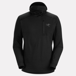 [아크테릭스][공식판매처] FW23 로 LT 후디 남성 ATNFMX5849