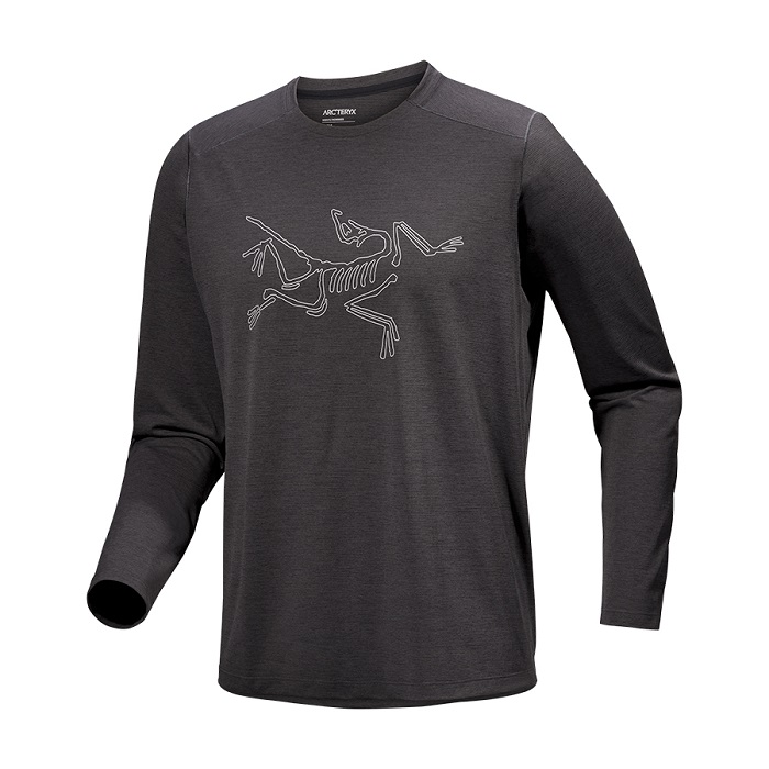 [아크테릭스][공식판매처] FW24 코막 로고 LS 남성 Cormac Logo LS M