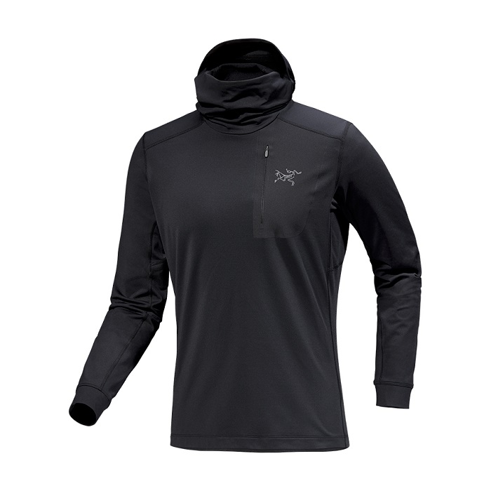 [아크테릭스][공식판매처] FW24 로 LT 후드 남성 Rho LT Hoody Men's